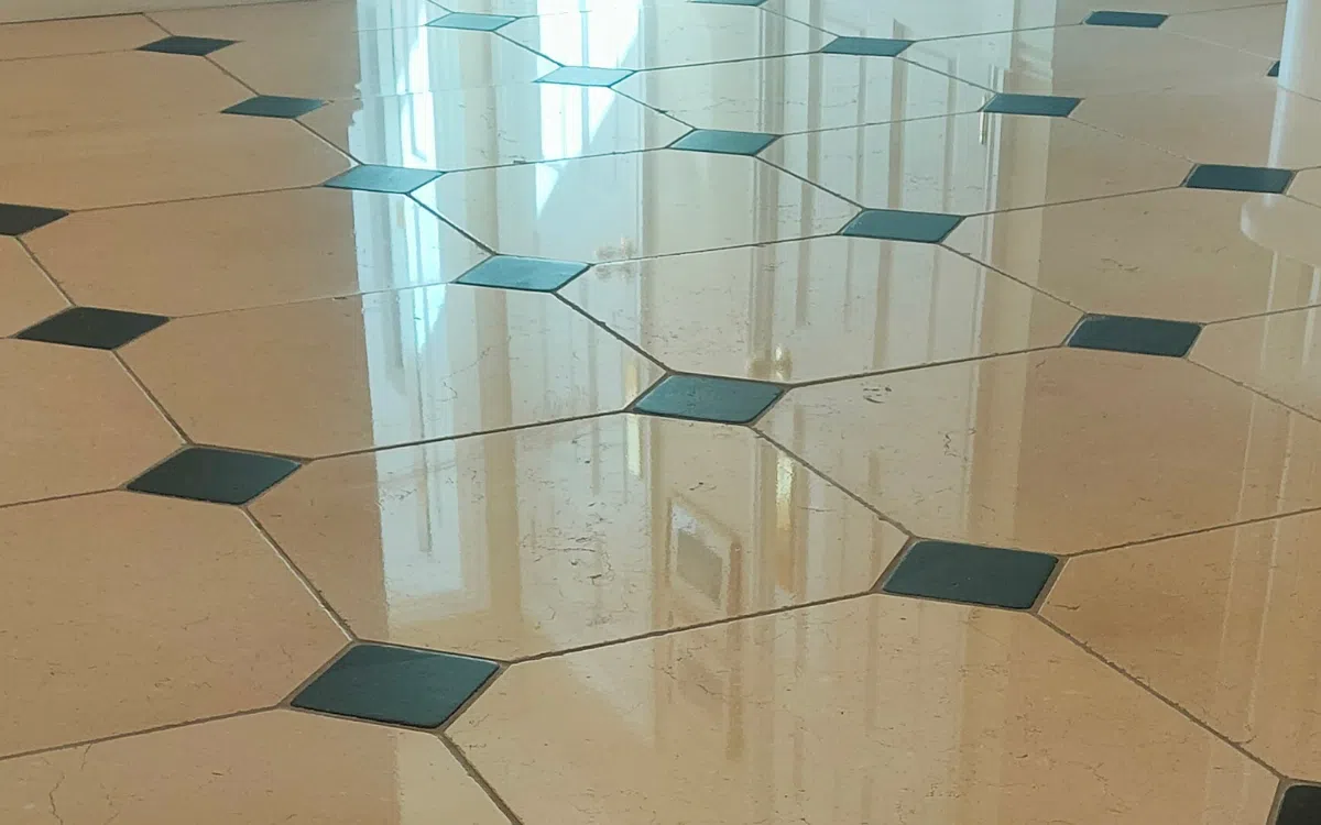 Professional polishing of an existing natural stone floor